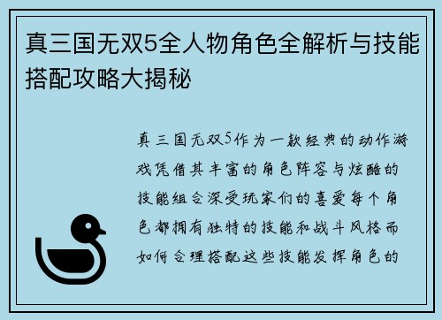 真三国无双5全人物角色全解析与技能搭配攻略大揭秘